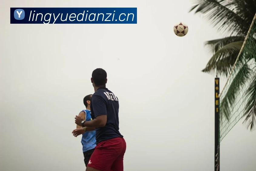 App Interface Preview